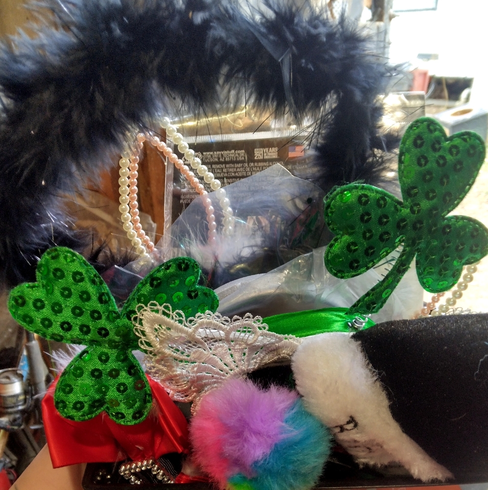 Seasonal headbands and hair accessories